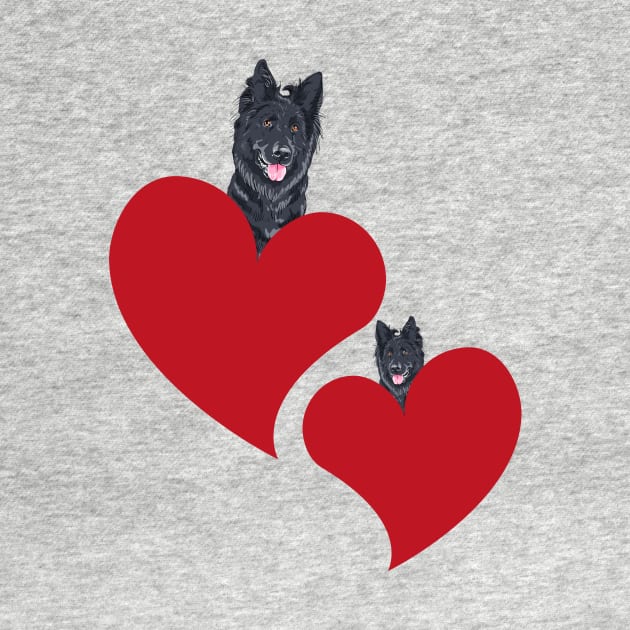 Groenendael Belgian Shepherd in Heart by Seasonal Dogs